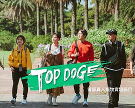 缅北重口《TOP DOG》免费在线观看