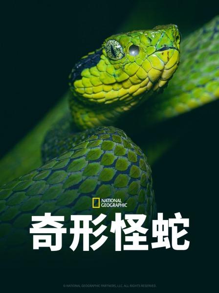 网曝吃瓜黑料一区二区三区《奇形怪蛇》免费在线观看